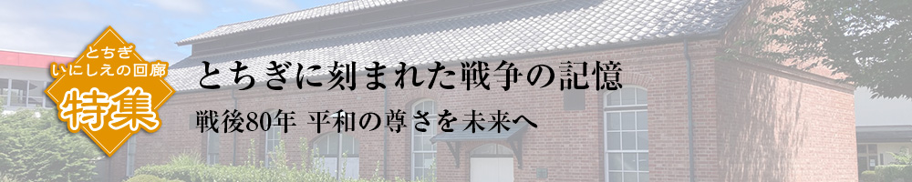 特集 日光杉並木街道を歩く